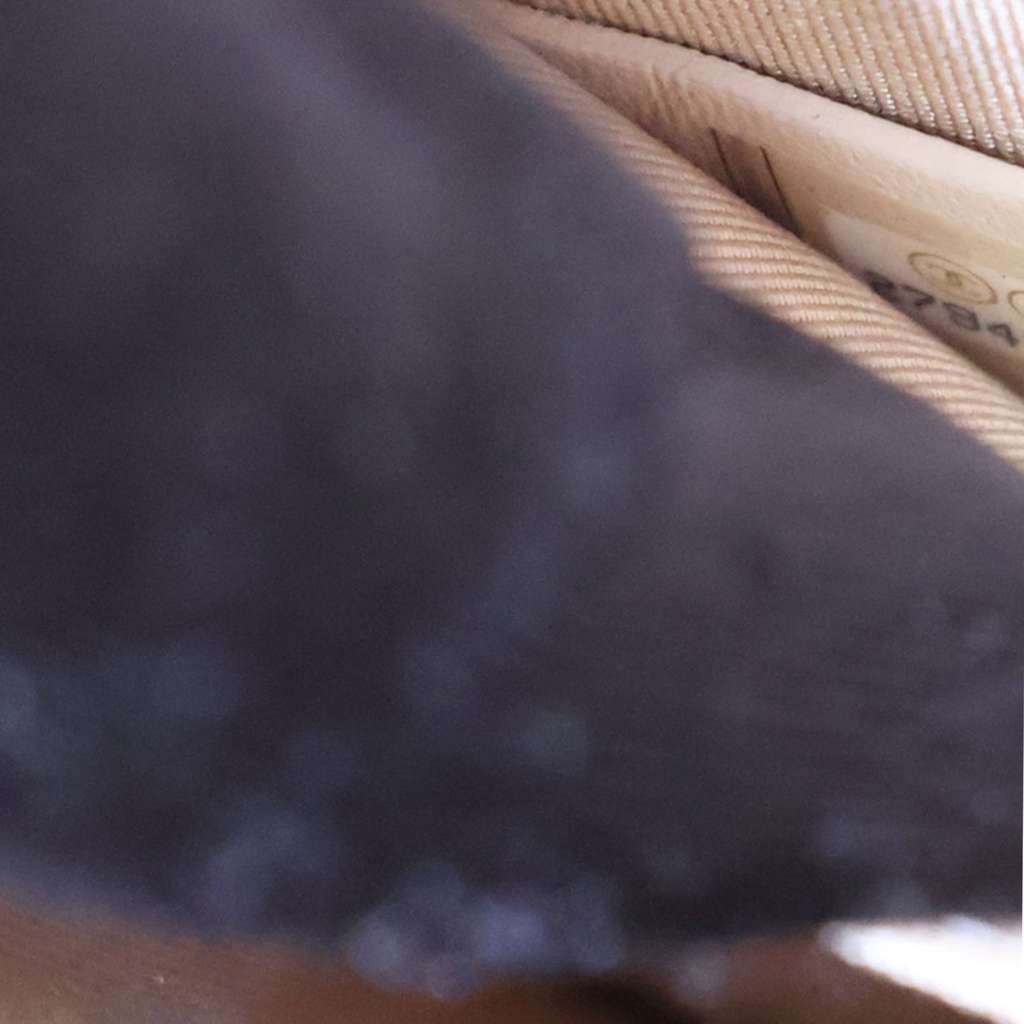 Chanel Quilted Iridescent Calfskin North South Boy Flap - Detail 1