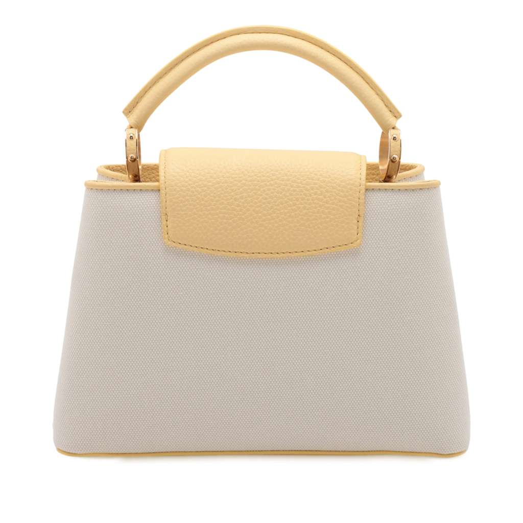 Louis Vuitton Canvas Taurillon Capucines BB - Back view