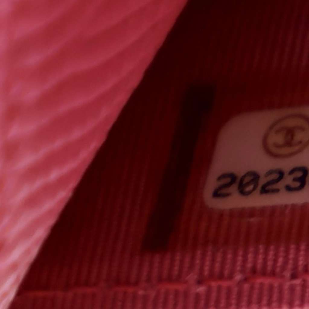 Chanel CC Lizard Embossed Calfskin Wallet On Chain - Detail 1