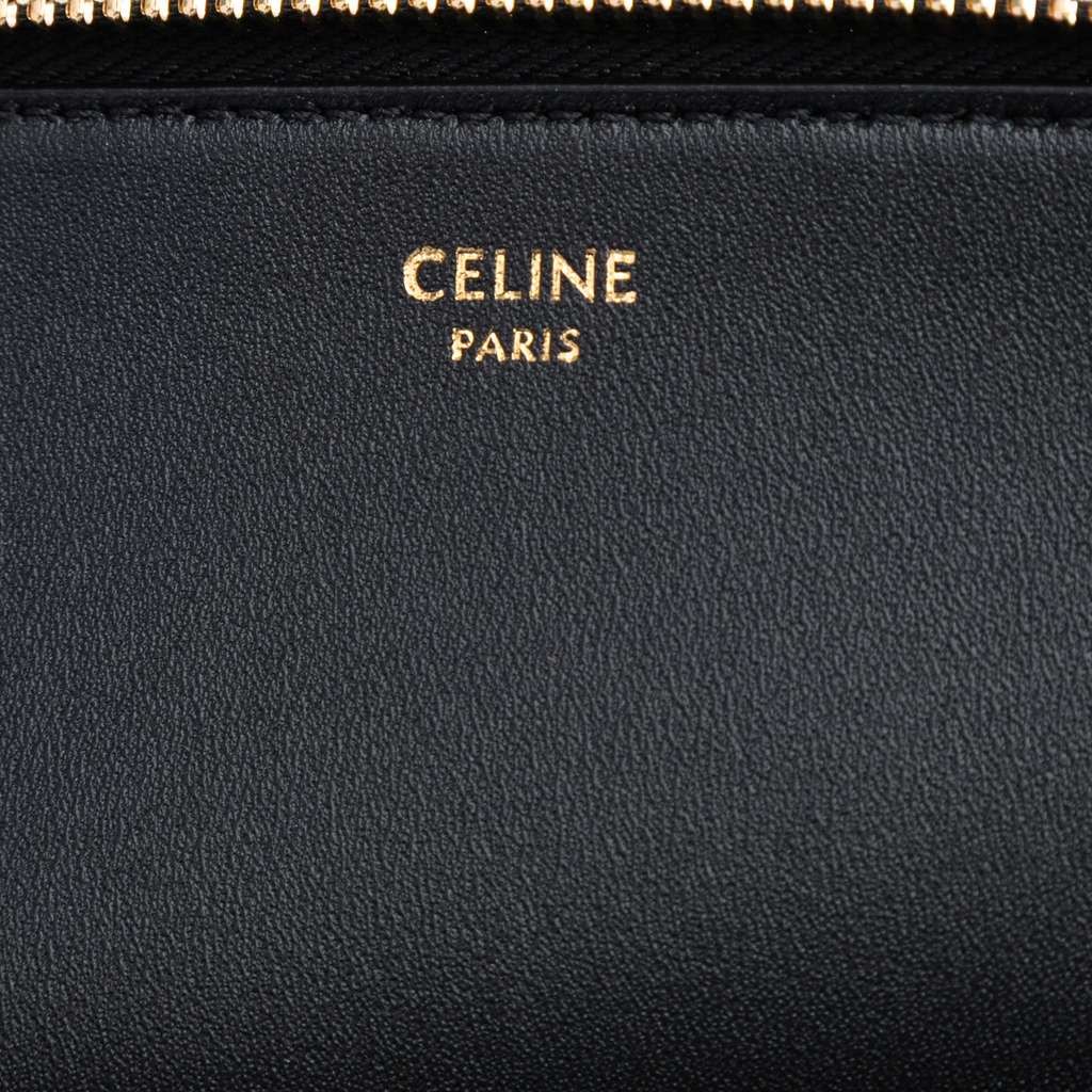 Celine Shiny Calfskin Triomphe Pouch - Side view