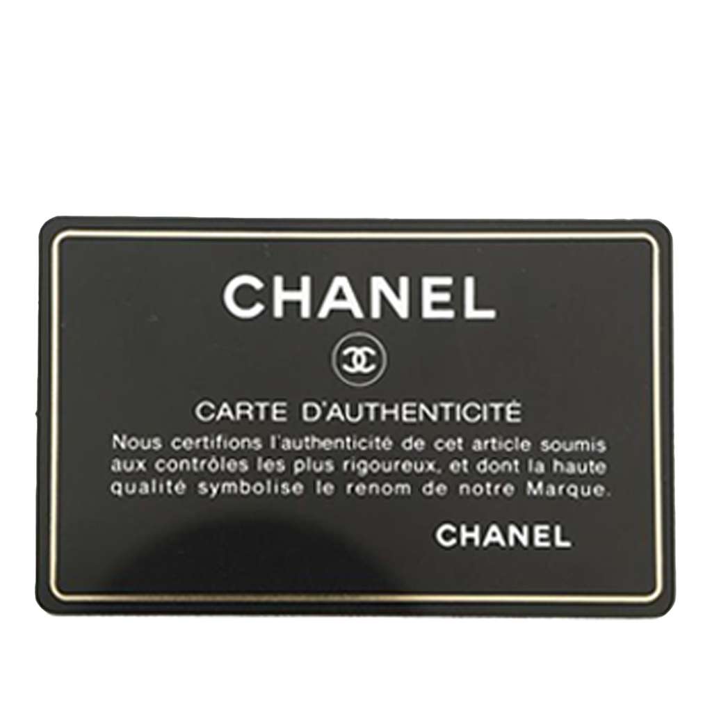 Chanel Patent Round As Earth Bag - Image 17