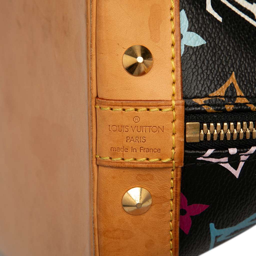 Louis Vuitton Monogram Multicolore Alma PM - Detail 1