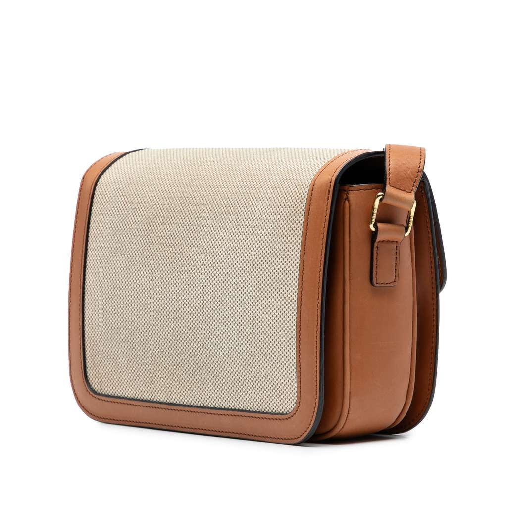 Celine Classique Canvas and Calfskin Triomphe Crossbody - Back view