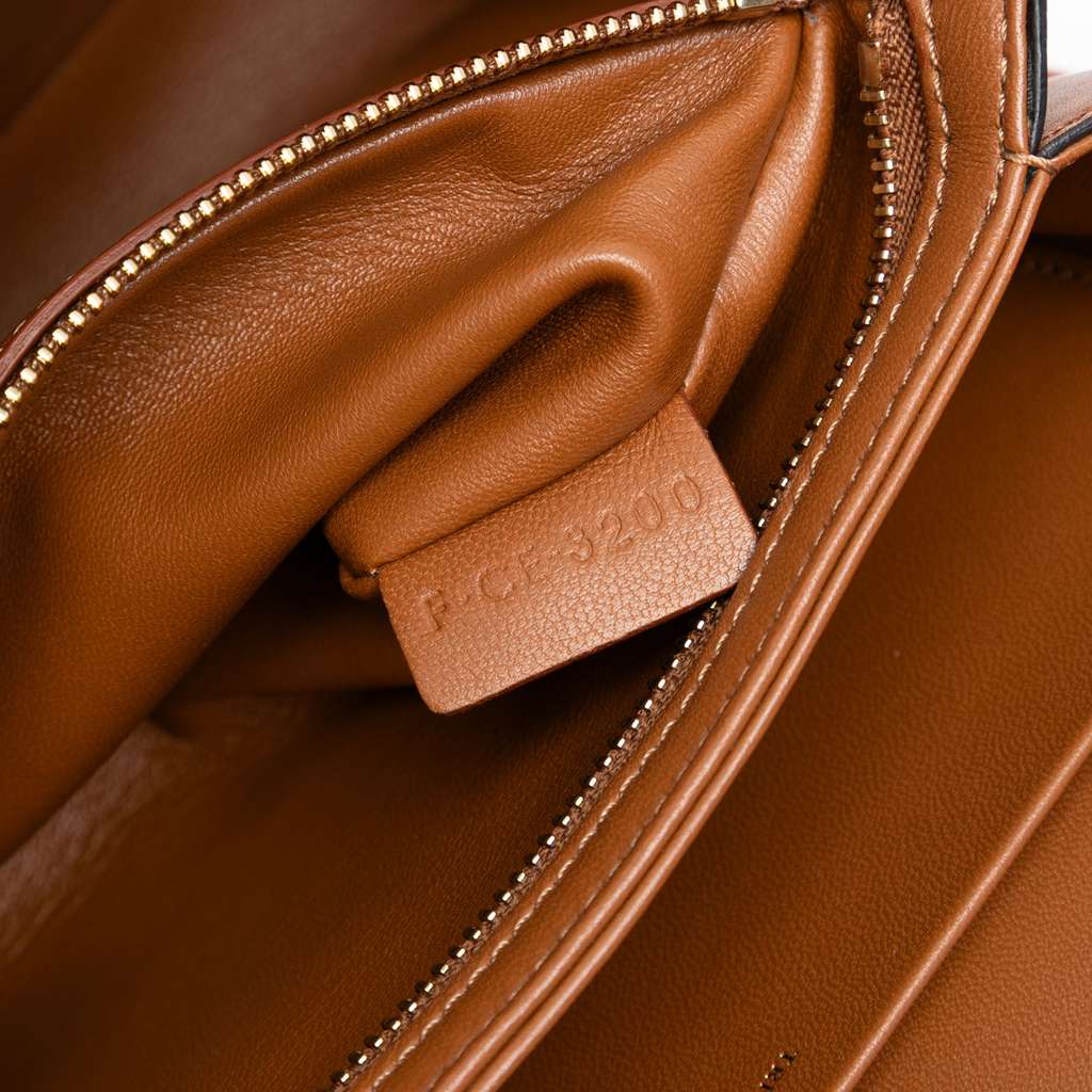 Celine Classique Canvas and Calfskin Triomphe Crossbody - Side view