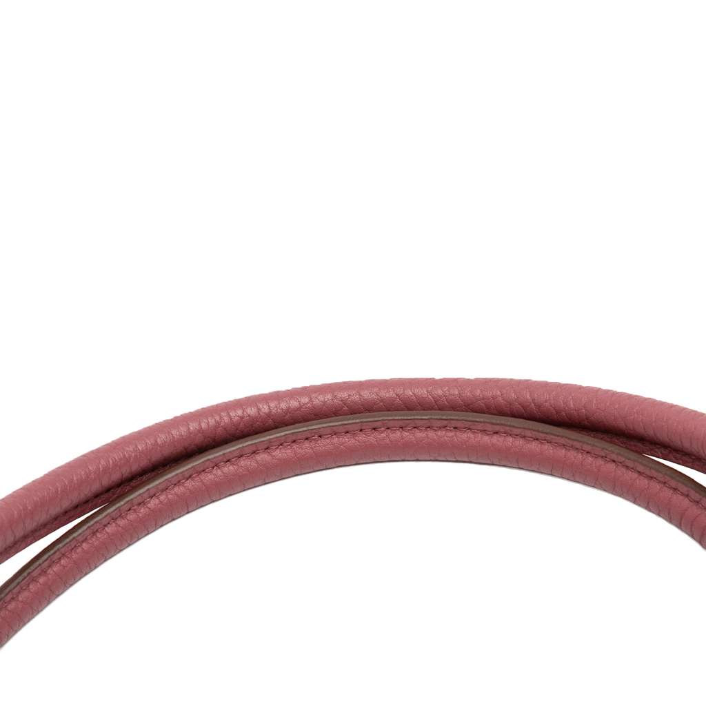 Hermès Toile and Negonda Garden Party 36 - Image 10