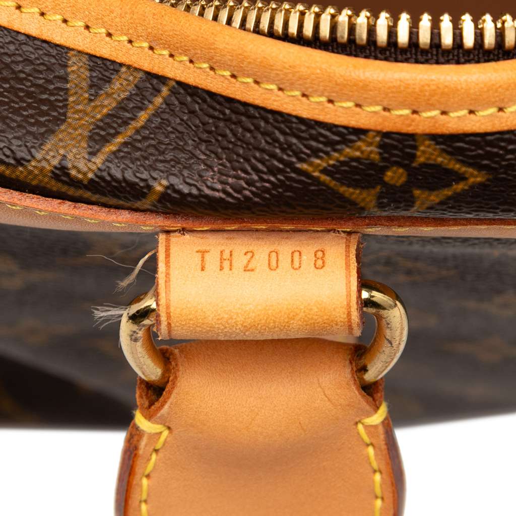 Louis Vuitton Monogram Sac Chien Pet Carrier 50 - Detail 1