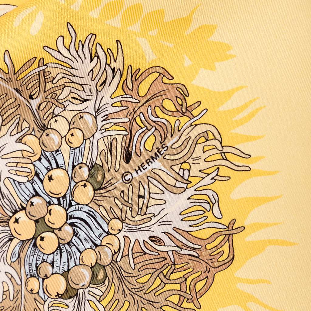 Hermès L Ile Deserte Silk Scarf - Image 10