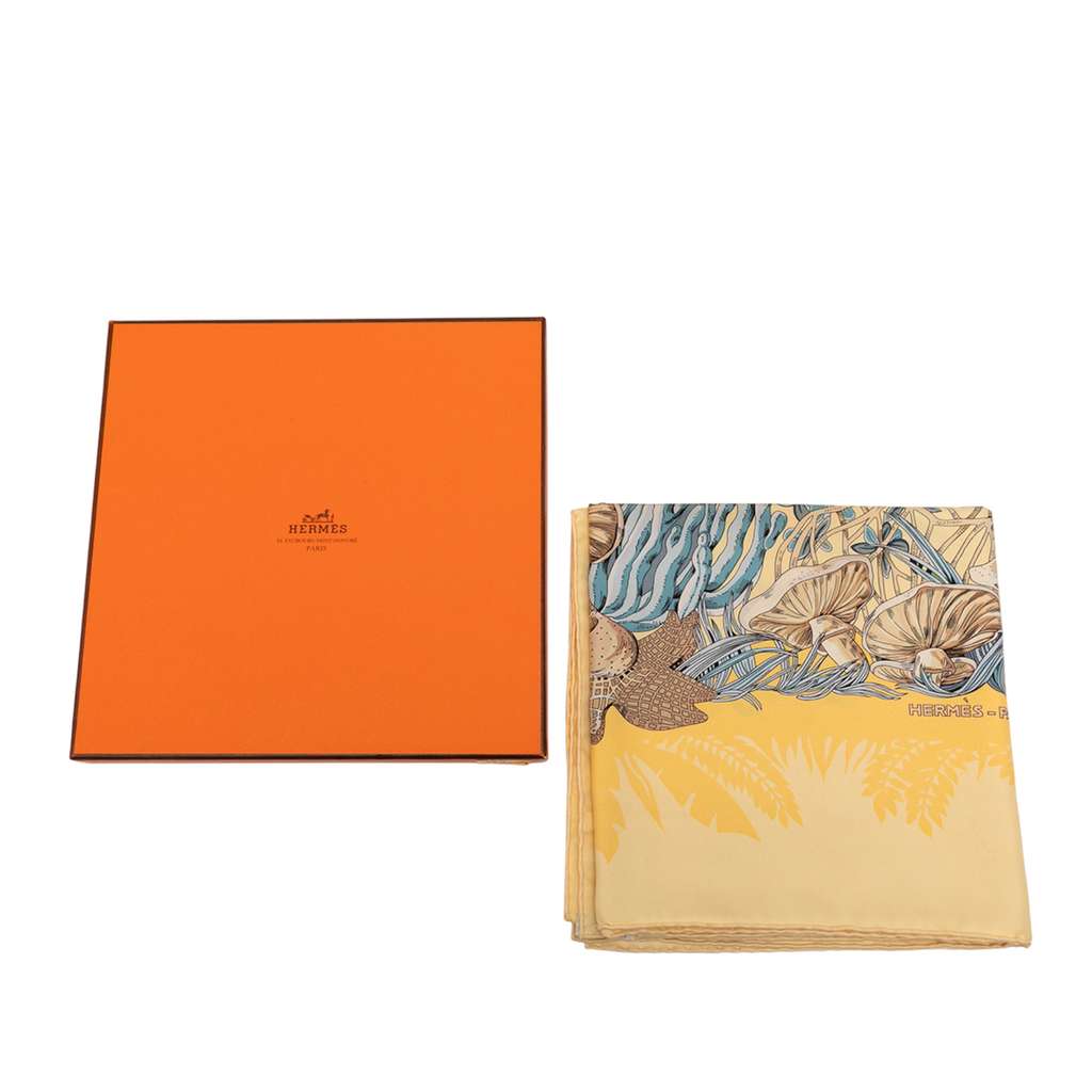 Hermès L Ile Deserte Silk Scarf - Image 11
