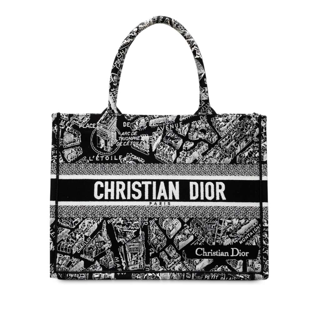 Dior Medium Canvas Embroidered Plan De Paris Book Tote