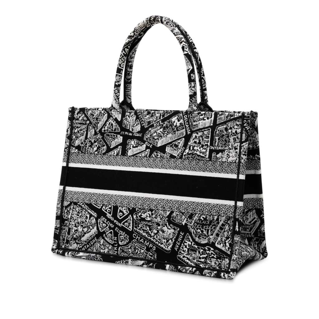 Dior Medium Canvas Embroidered Plan De Paris Book Tote - Back view