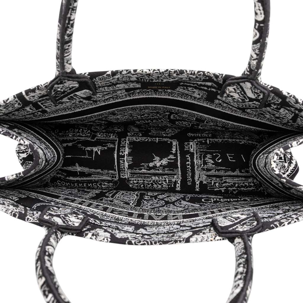 Dior Medium Canvas Embroidered Plan De Paris Book Tote - 4