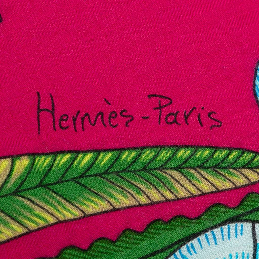 Hermès The Savana Dance Cashmere Silk Shawl - Image 6