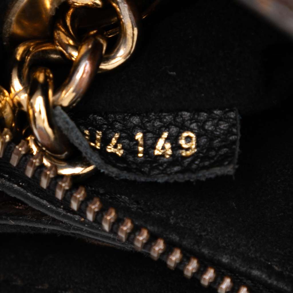 Louis Vuitton Monogram Surene BB - Detail 1