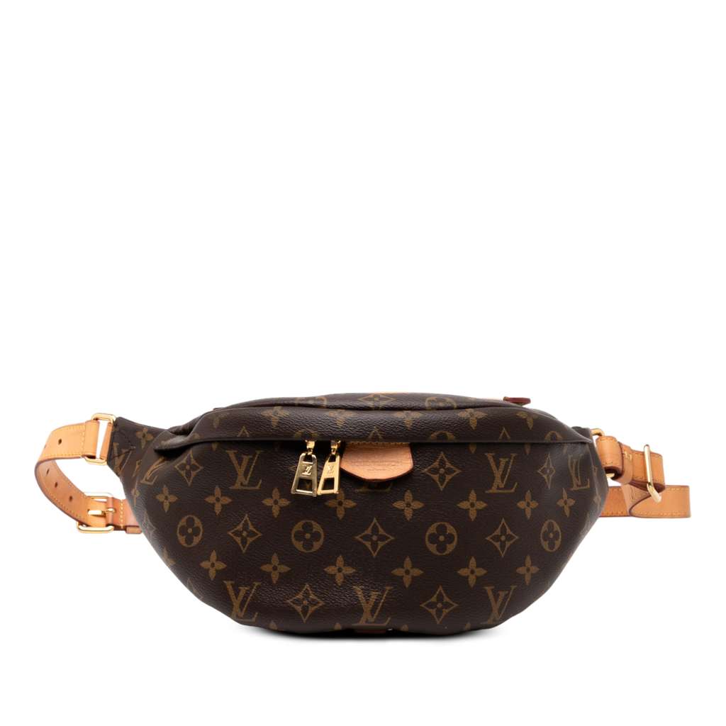 Louis Vuitton Monogram Bumbag