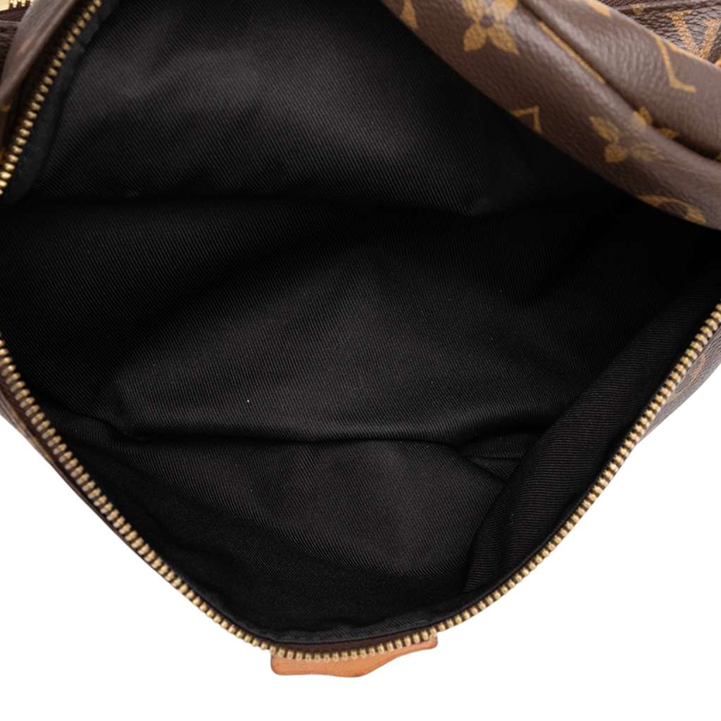 Louis Vuitton Monogram Bumbag - 4