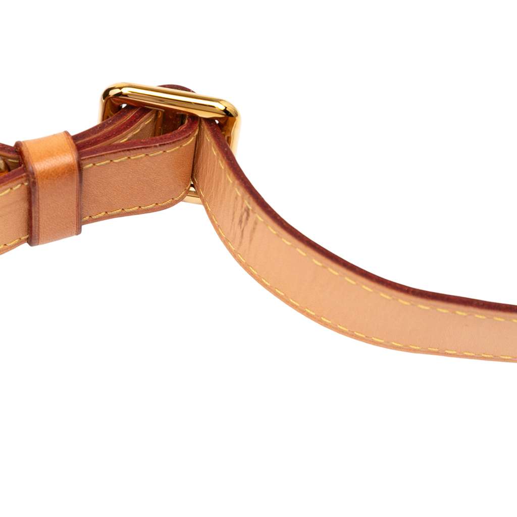 Louis Vuitton Monogram Bumbag - Detail 1