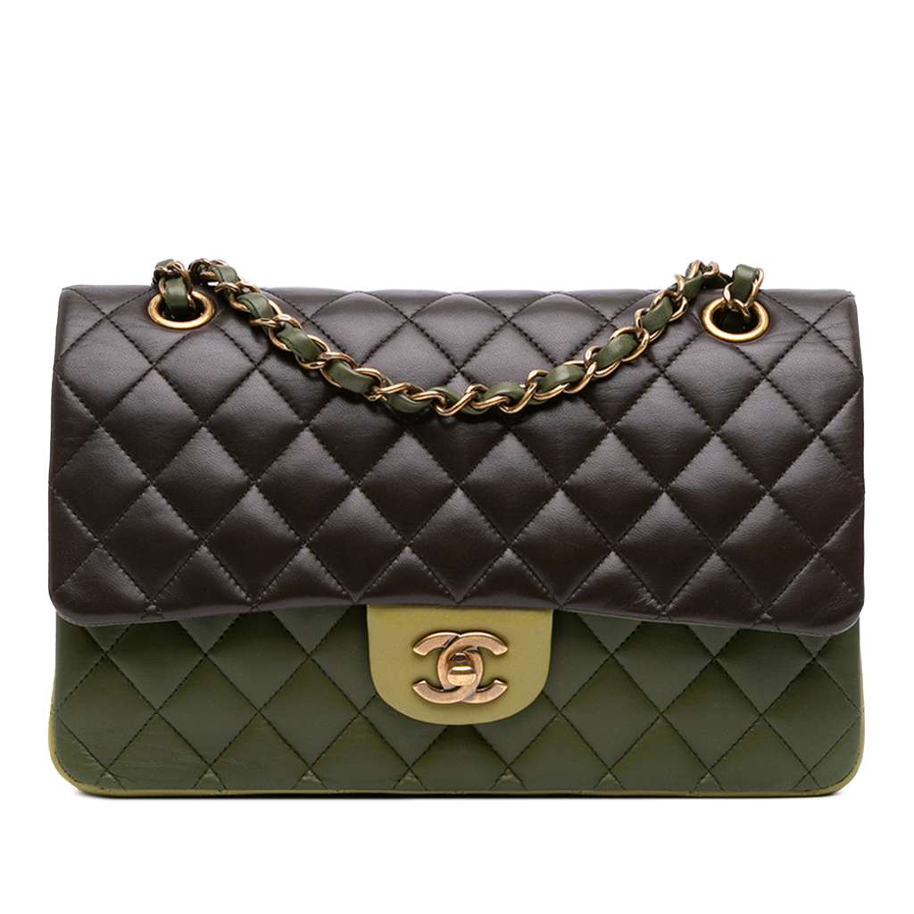 Chanel Medium Classic Tricolor Lambskin Double Flap