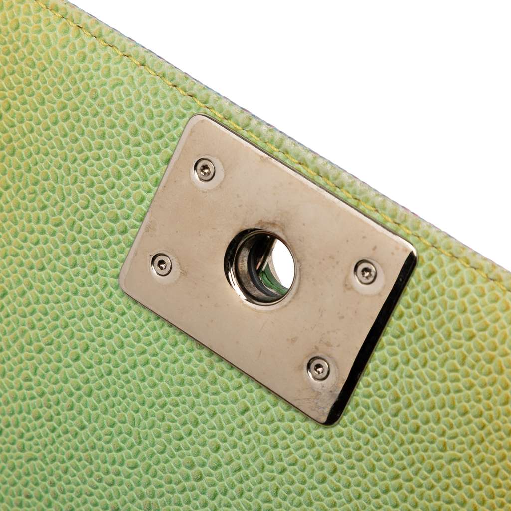 Chanel Old Medium Quilted Caviar Rainbow Boy Flap - Detail 2