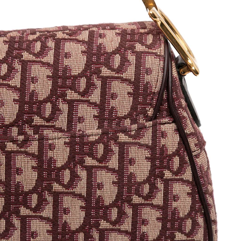 Dior Oblique Canvas Saddle Bag - Image 10