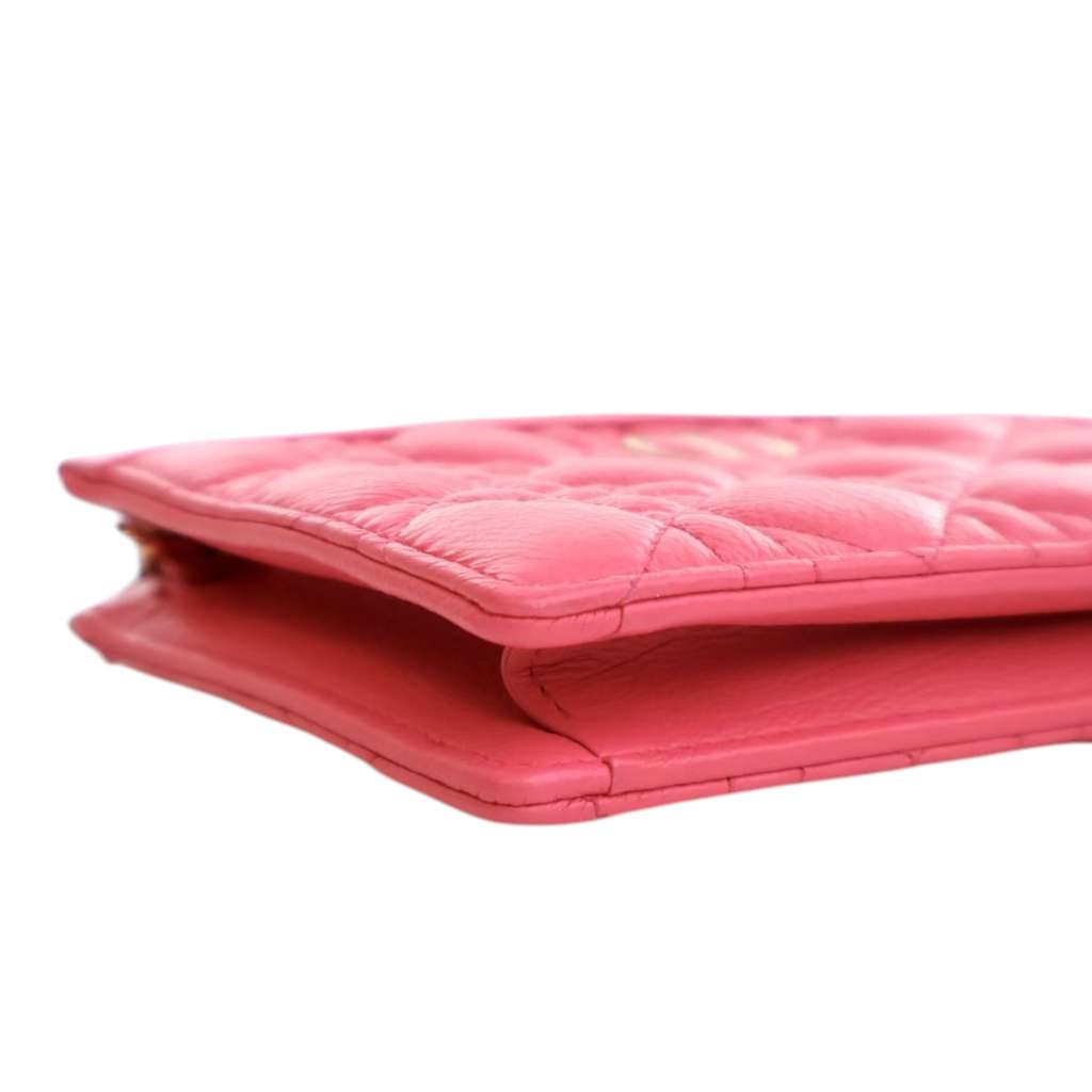 Dior Supple Cannage Calfskin Caro Every Dior Pouch - Image 10