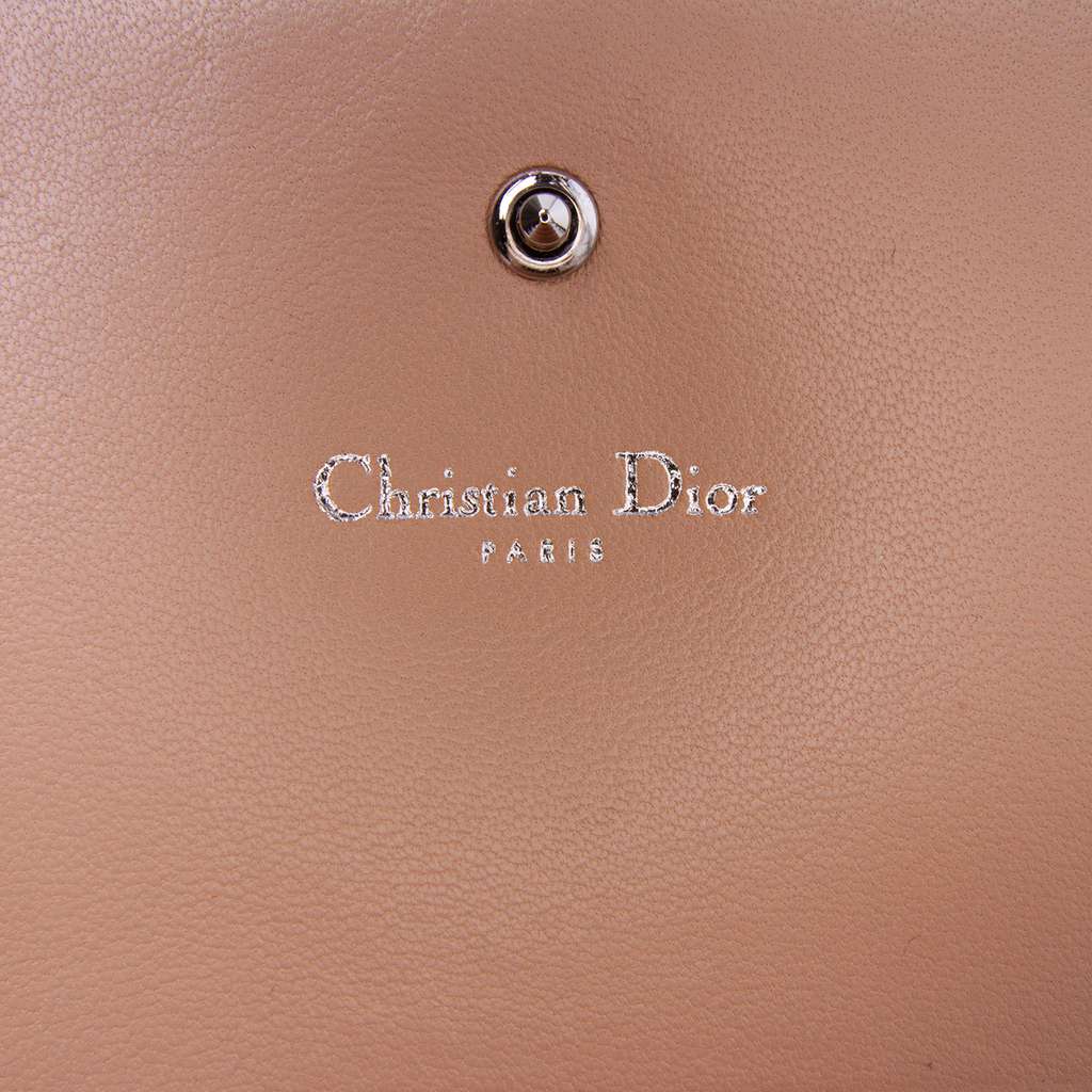 Dior Metallic Grained Calfskin Diorama Wallet on Chain - Side view