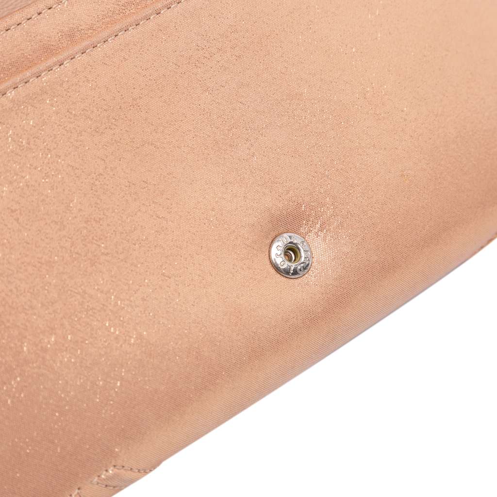 Dior Metallic Grained Calfskin Diorama Wallet on Chain - Image 10