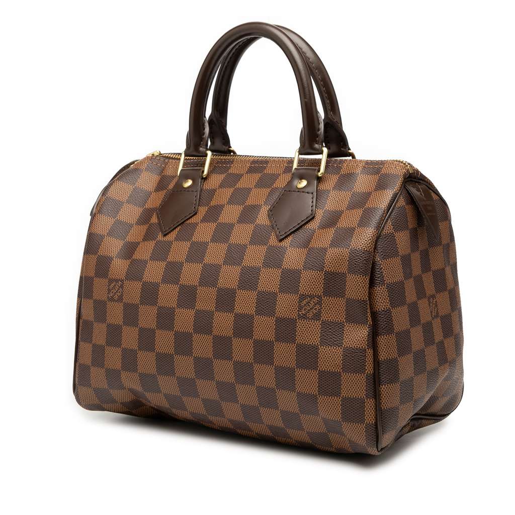 Louis Vuitton Damier Ebene Speedy 25 - Back view