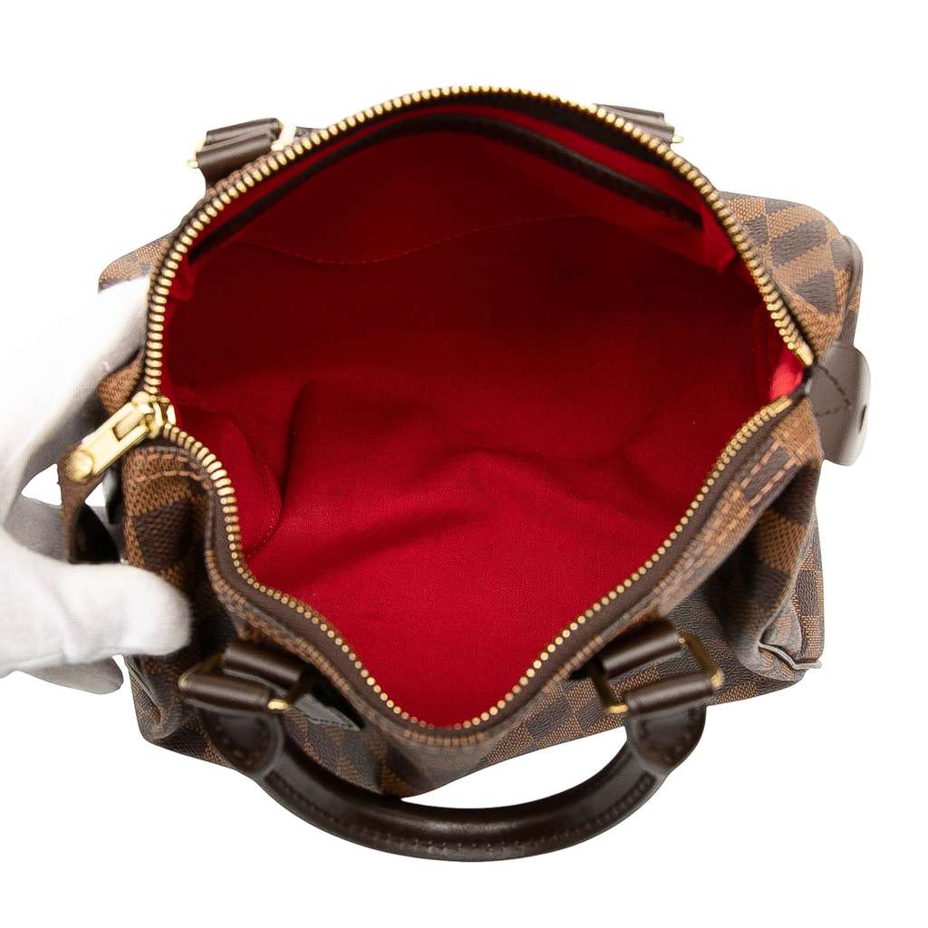 Louis Vuitton Damier Ebene Speedy 25 - 4