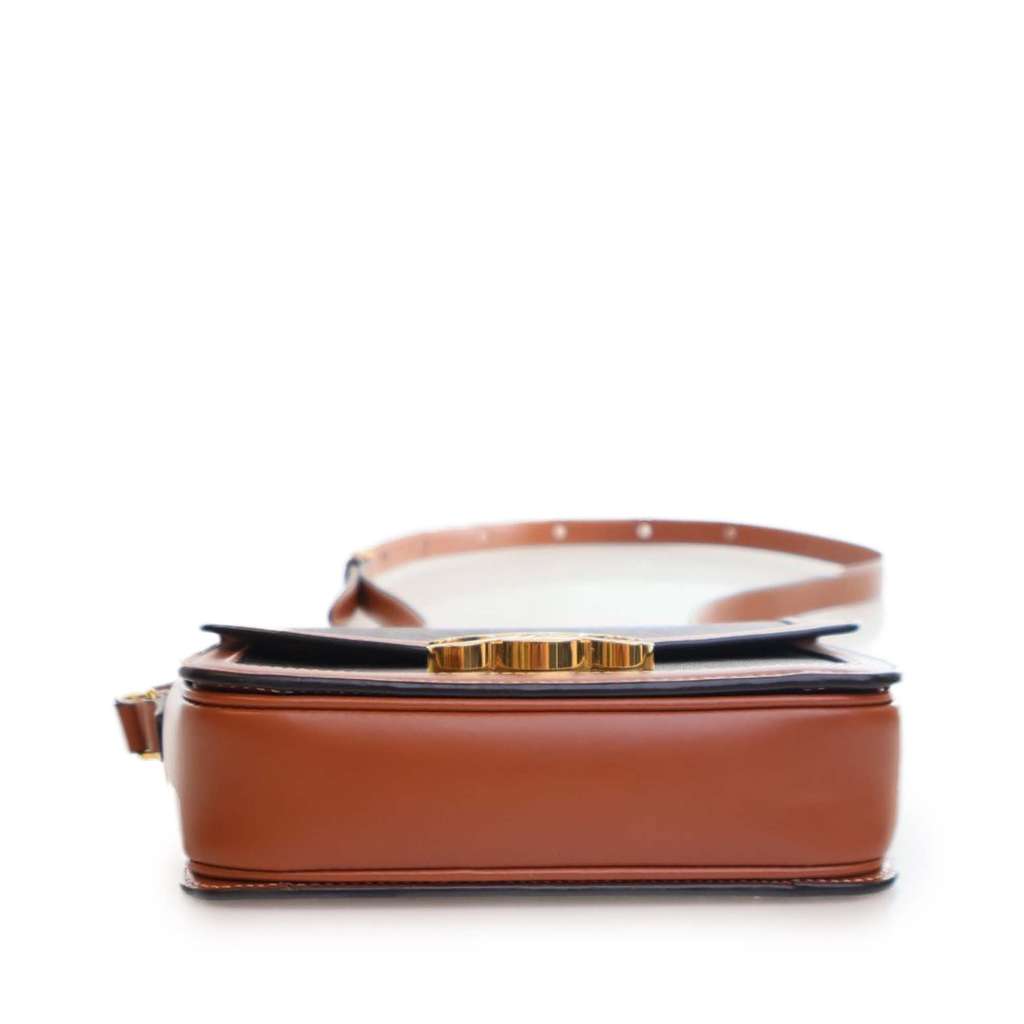 Celine Teen Triomphe Coated Canvas and Calfskin Triomphe Crossbody - Side view