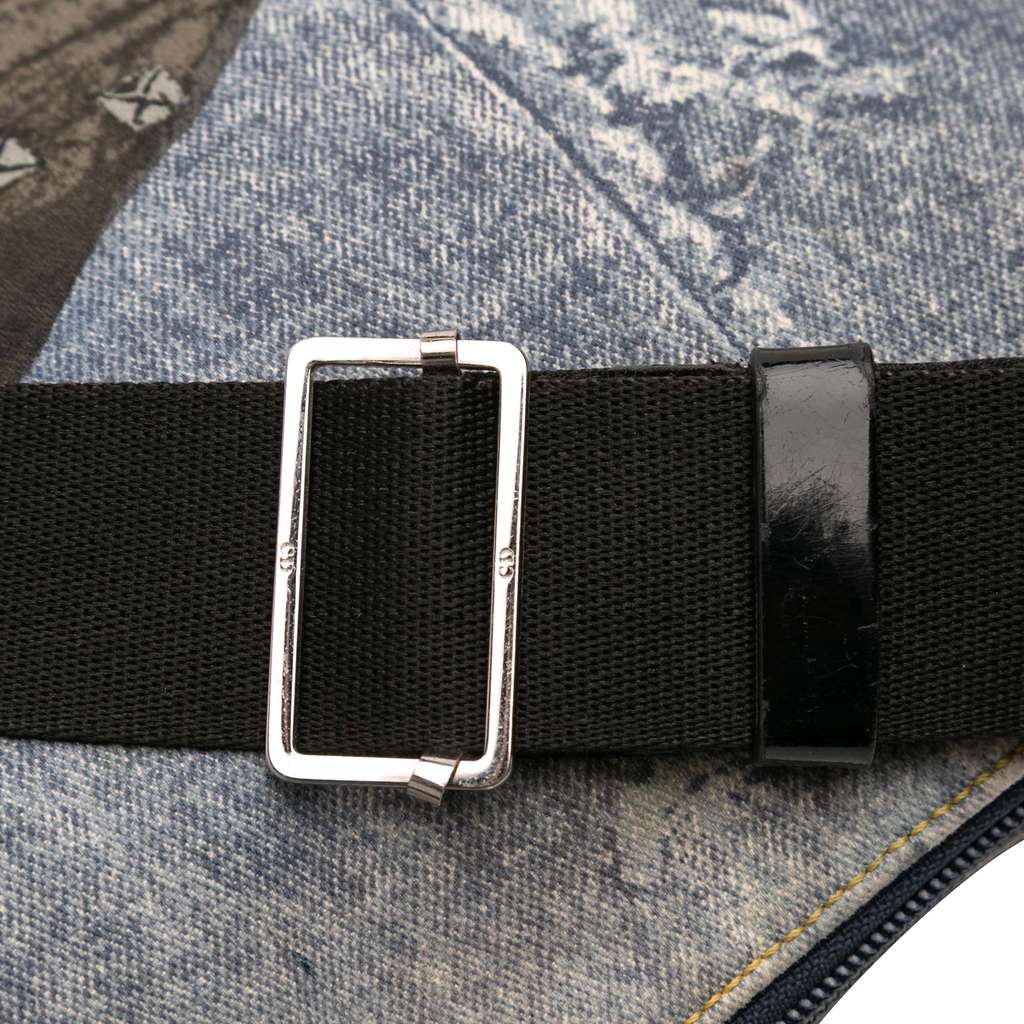 Dior Printed Denim Speedway Crossbody - Image 10