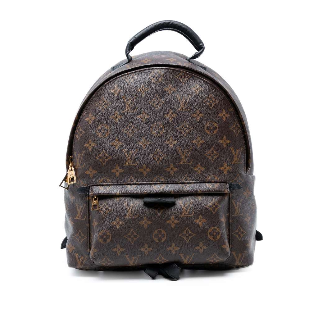 Louis Vuitton Monogram Palm Springs MM