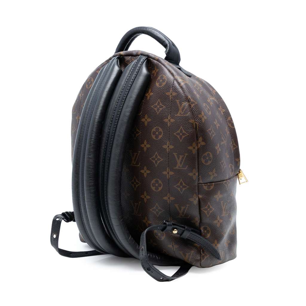 Louis Vuitton Monogram Palm Springs MM - Back view