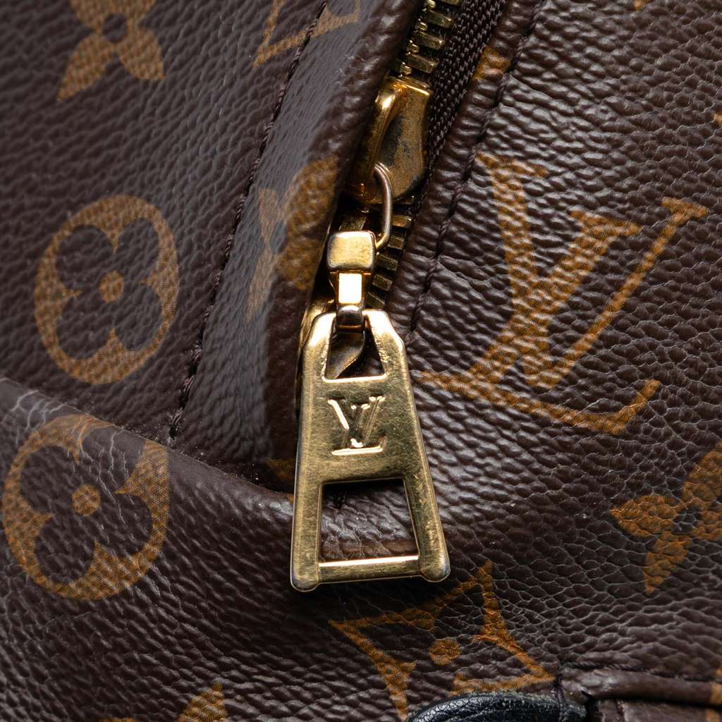 Louis Vuitton Monogram Palm Springs MM - Detail 2