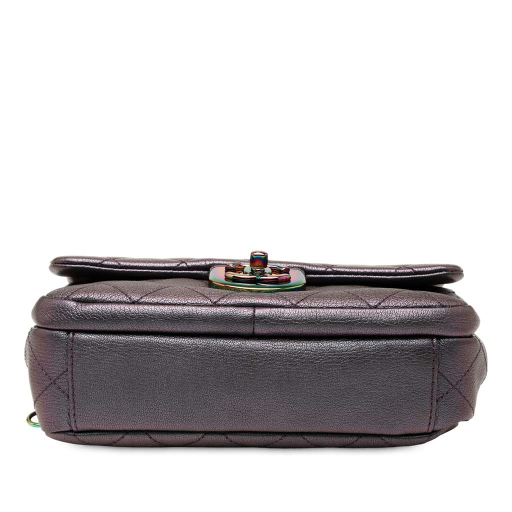 Chanel Small Iridescent Goatskin Rainbow Hardware Double Carry Waist Chain Flap - Image 6