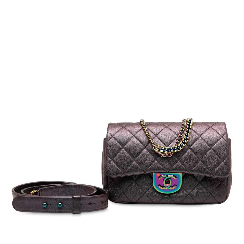 Chanel Small Iridescent Goatskin Rainbow Hardware Double Carry Waist Chain Flap - Image 10
