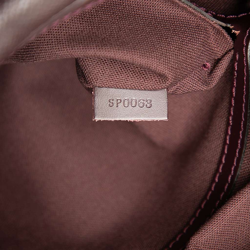 Louis Vuitton Taiga Reporter PM - Detail 1