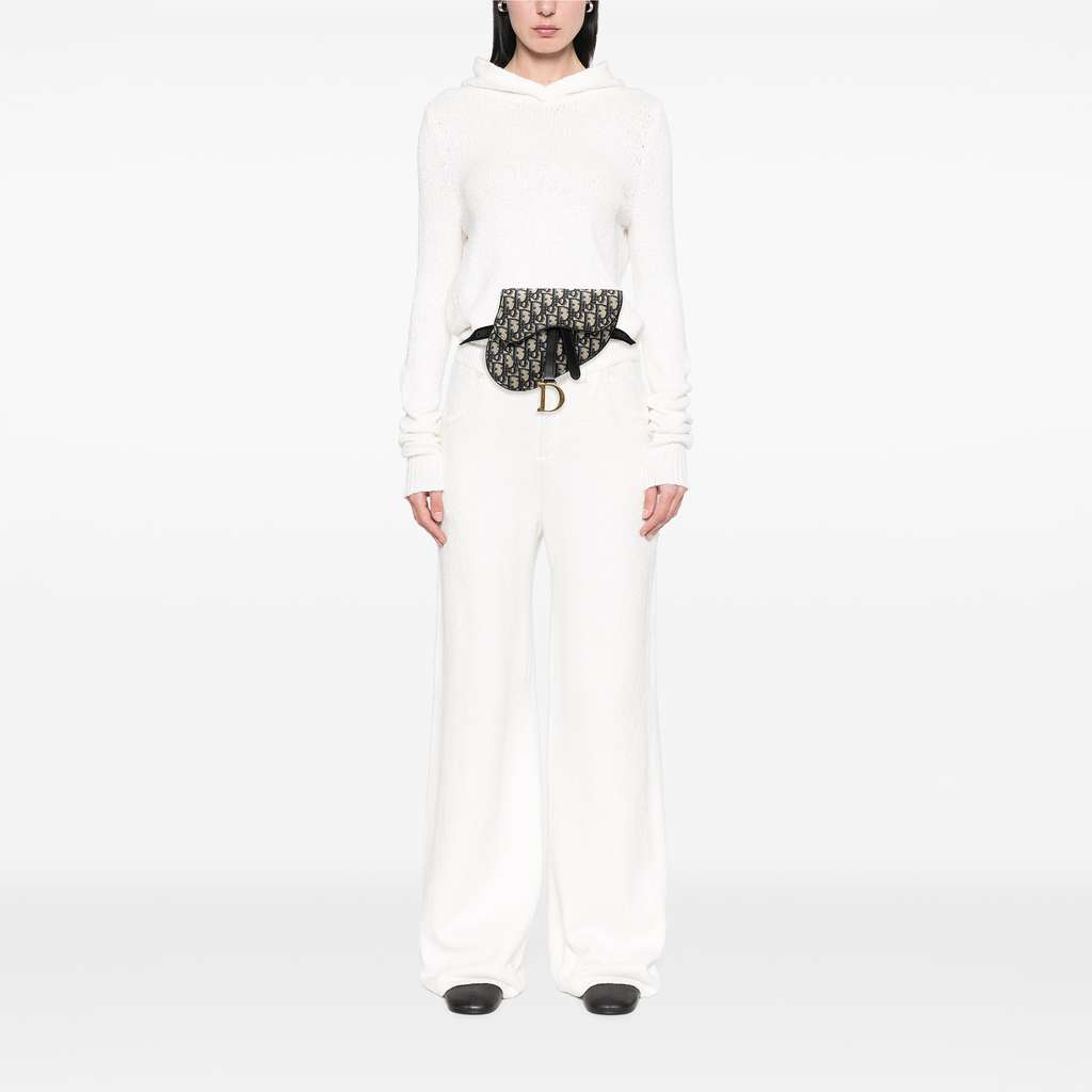 Dior Oblique Canvas Saddle Belt Bag - Detail 2