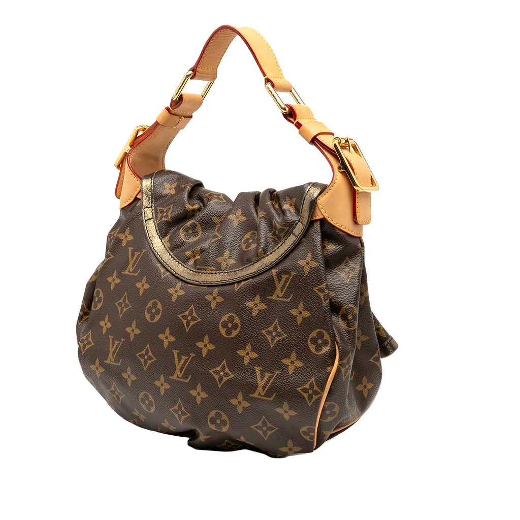 Louis Vuitton Limited Edition Monogram Epices Kalahari PM Brown Fair - Back View