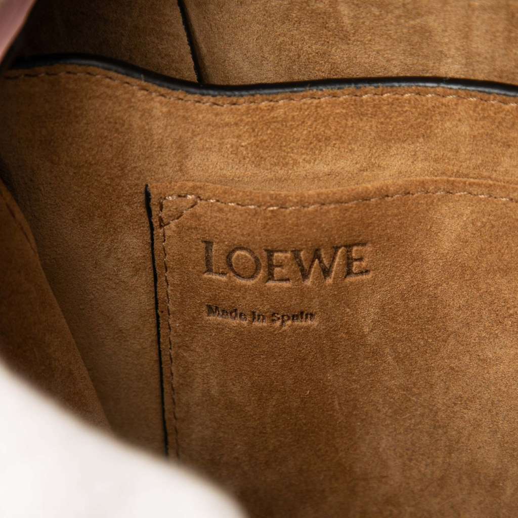 Loewe Small Tricolor Leather Gate Crossbody - Side view