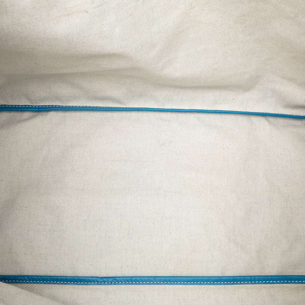 Goyard Goyardine Saint Louis GM - 4