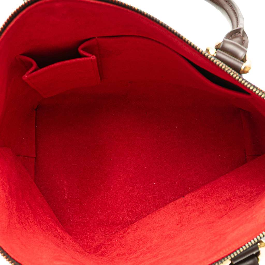 Louis Vuitton Damier Ebene Saleya PM - 4