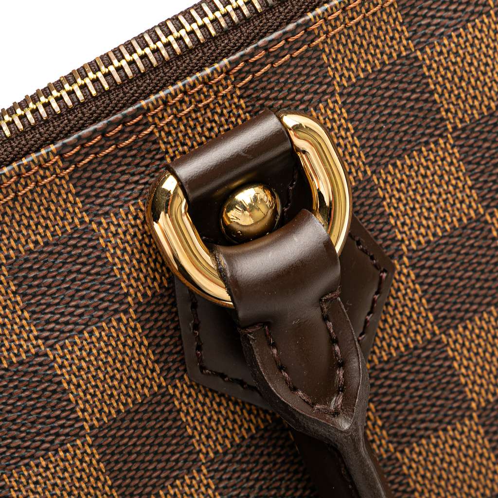 Louis Vuitton Damier Ebene Saleya PM - Image 11