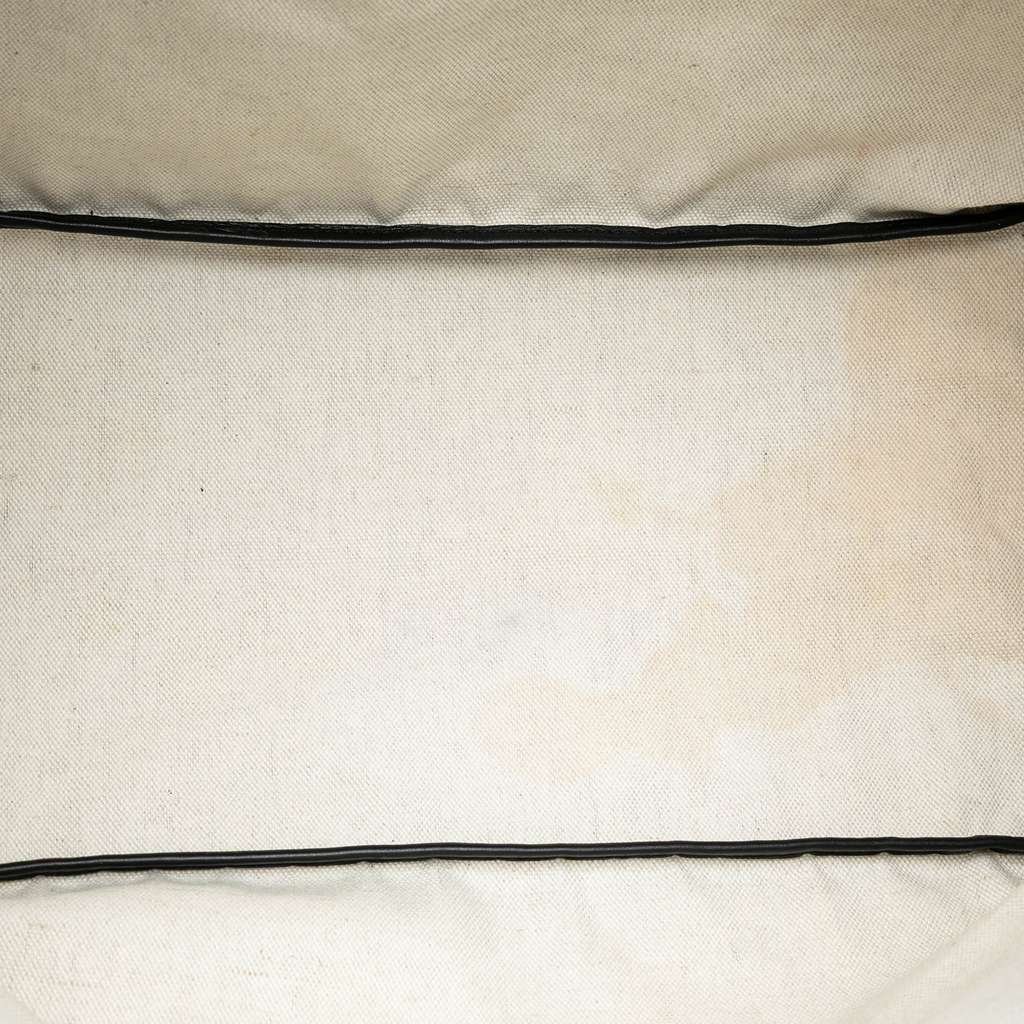 Goyard Goyardine Saint Louis GM - 4