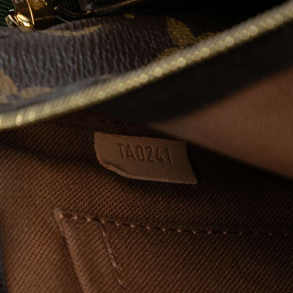 Louis Vuitton Monogram Multi Pochette Accessoires - Detail 1