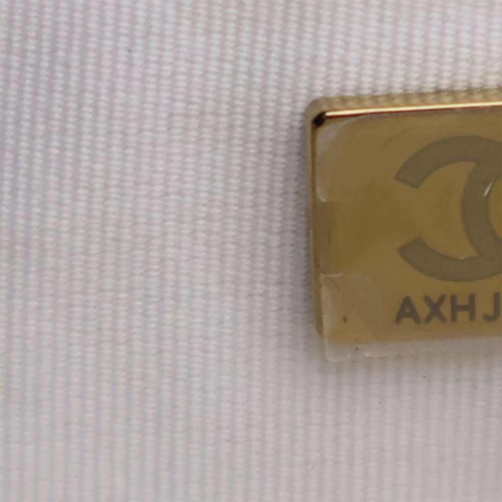 Chanel Small Quilted Calfskin Camera Case - Image 11