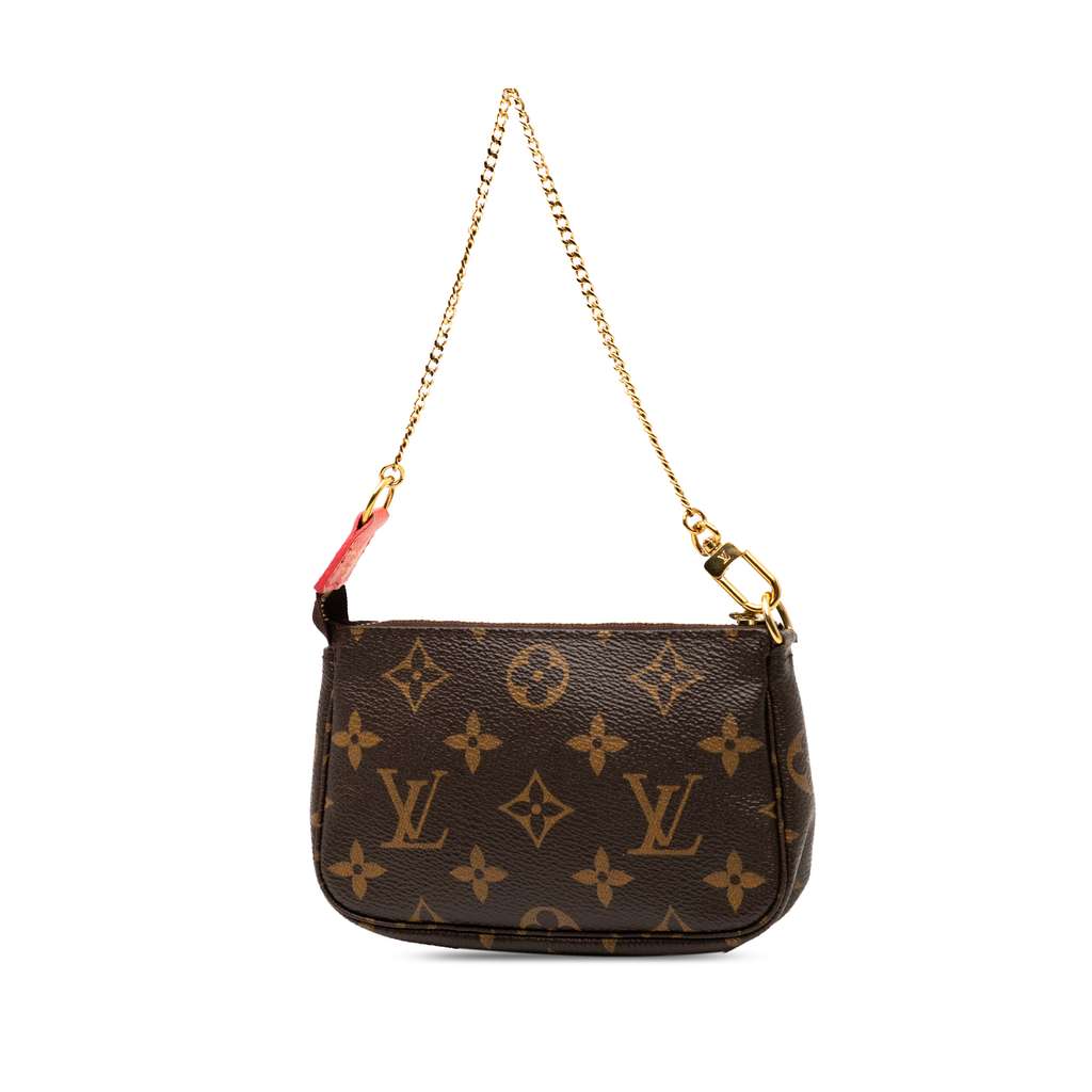 Louis Vuitton Monogram Evasion Illustre Mini Pochette Accessories - Back view
