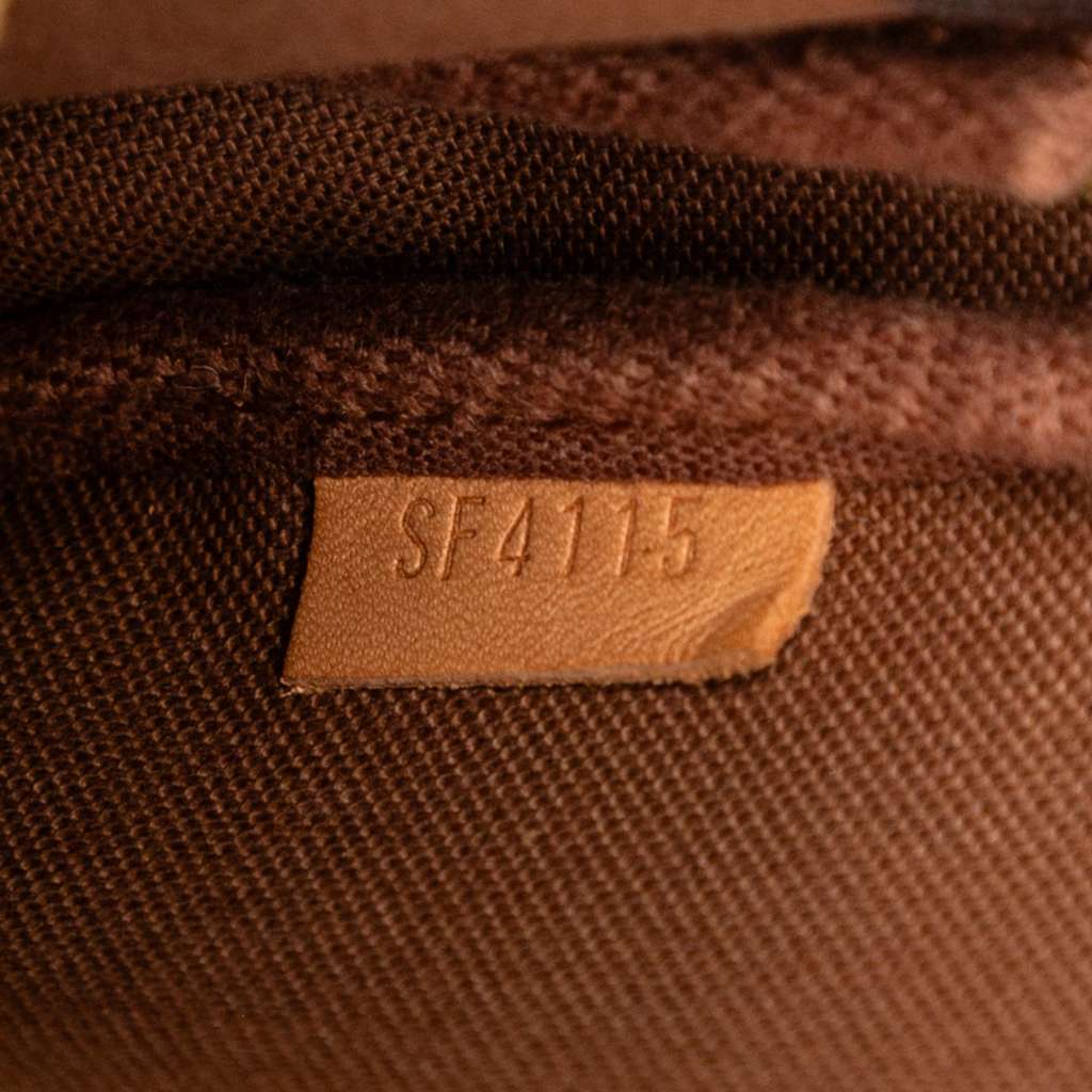 Louis Vuitton Monogram Evasion Illustre Mini Pochette Accessories - Detail 1