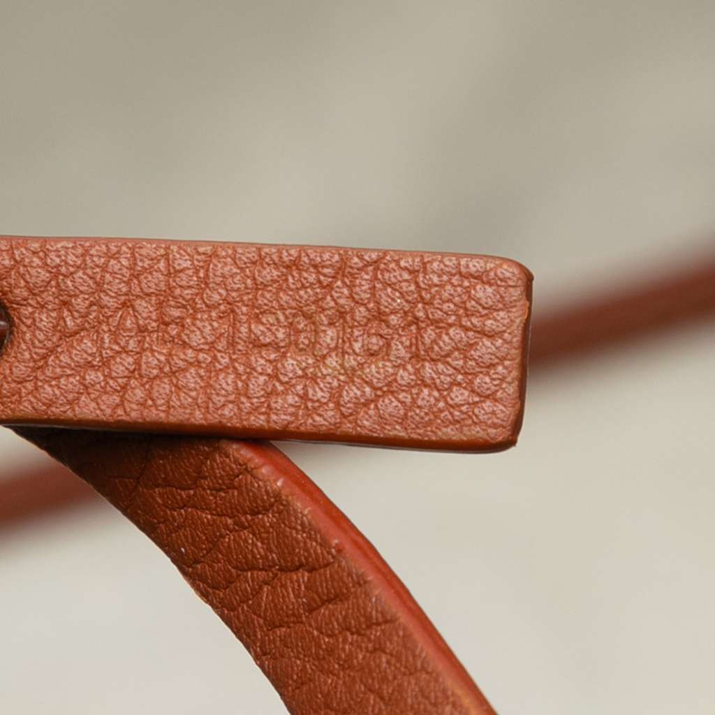 Goyard Goyardine Saint Louis PM - Side view