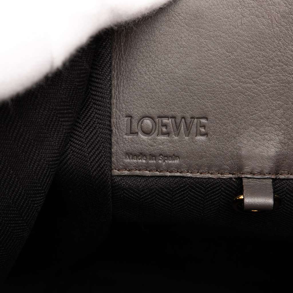 Loewe Small Tricolor Soft Grained Calfskin Hammock Bag - 5