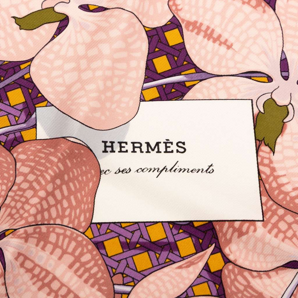 Hermès Souvenirs d Asie Silk Scarf - 4